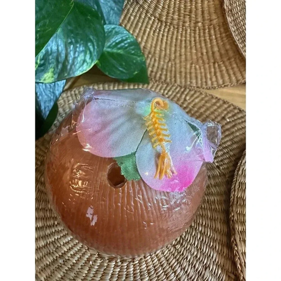 NEW Coconut Cup - Picture 4 of 6